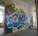 heilanstalt milbitz graffiti_034